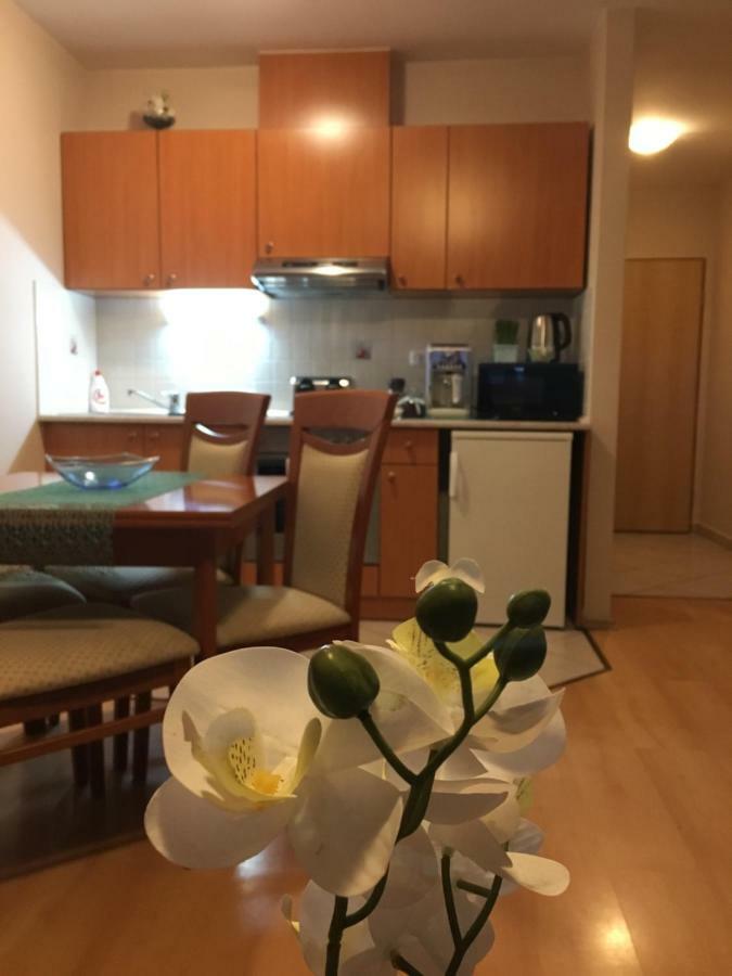Orchidea Apartman Hegykő Zewnętrze zdjęcie