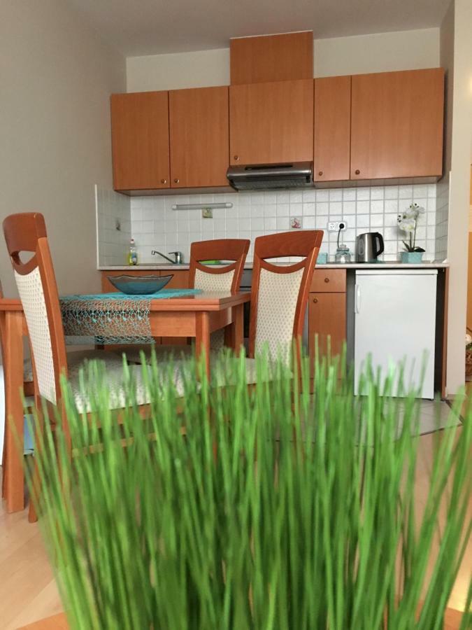 Orchidea Apartman Hegykő Zewnętrze zdjęcie