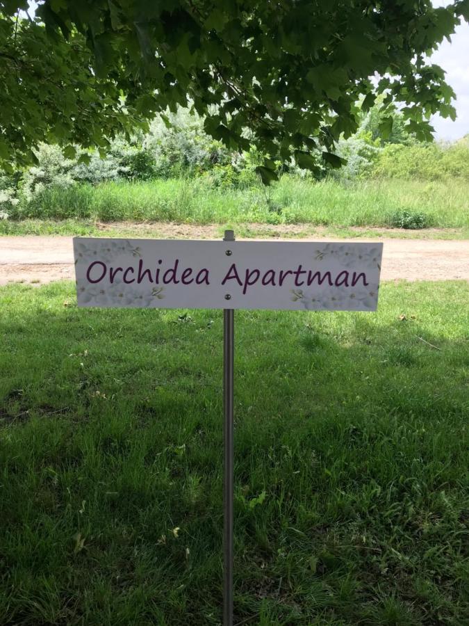 Orchidea Apartman Hegykő Zewnętrze zdjęcie